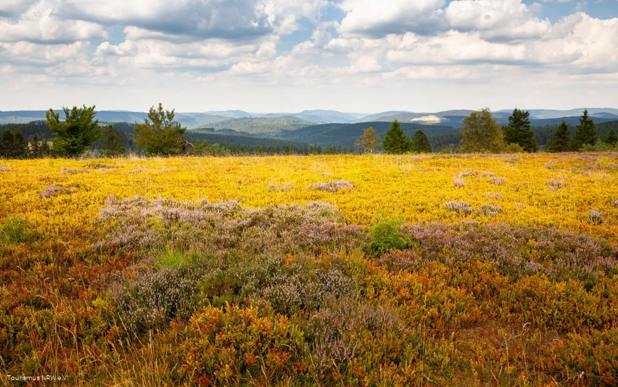 Kahle Asten | Winterberg