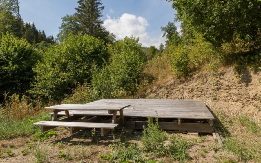 TP5 Breite Schneise TP5 Breite Schneise