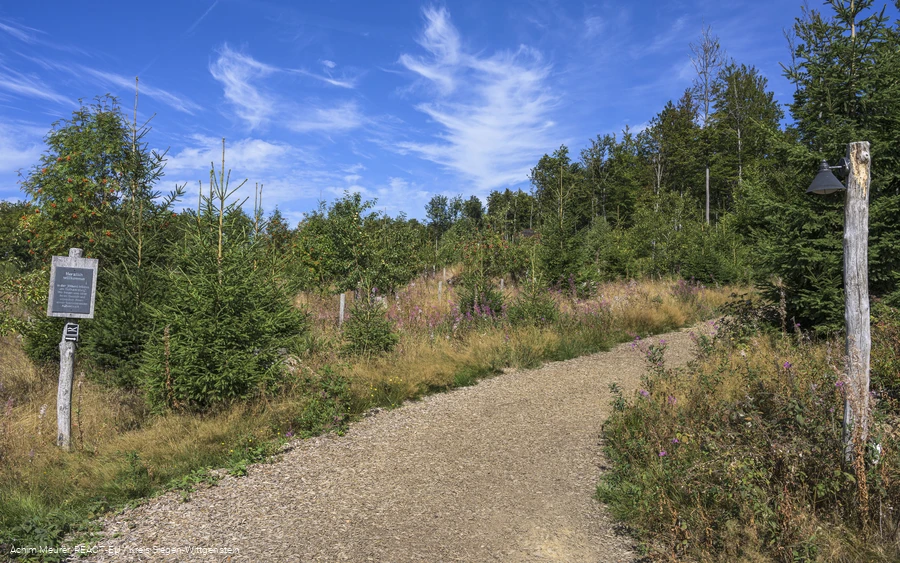 Wisent-Wildnis Zugang vom Parkplatz