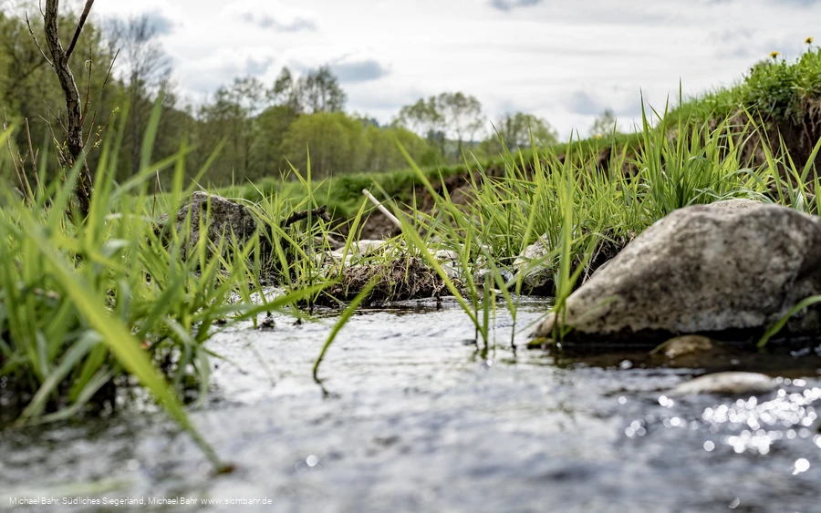 Der Wetterbach in Holzhausen