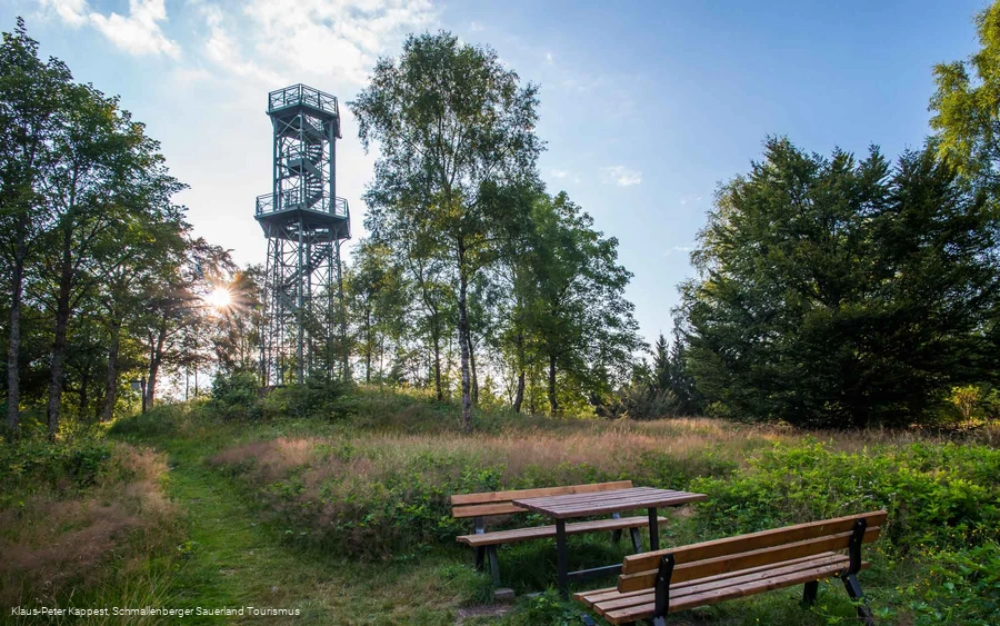 Turm auf dem Wilzenberg