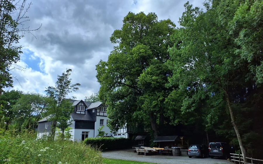 Linde in Meschede-Remblinghausen