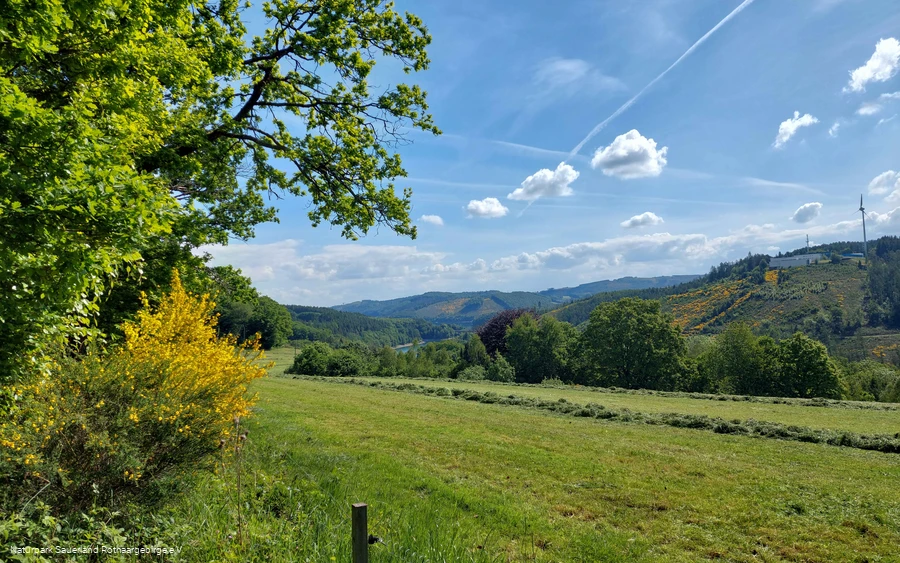 Aussicht am Aussichtspunkt "Biggeblick".jpg