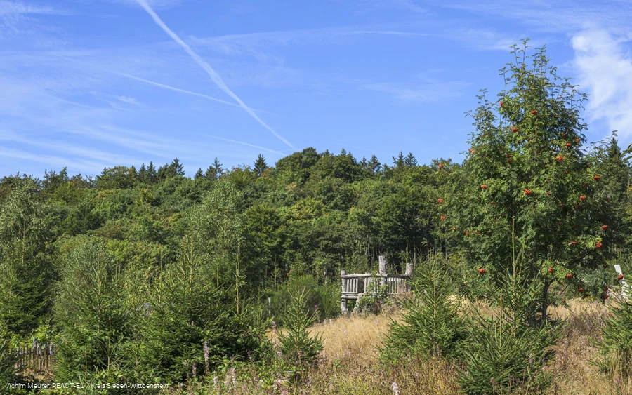 Wisent-Wildnis Wisent-Wildnis