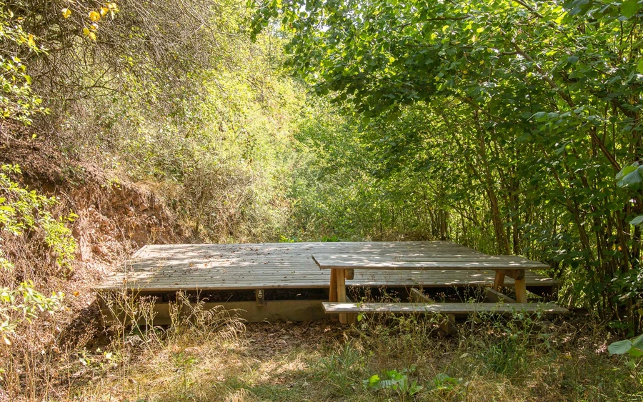 TP1 Niederwald TP1 Niederwald