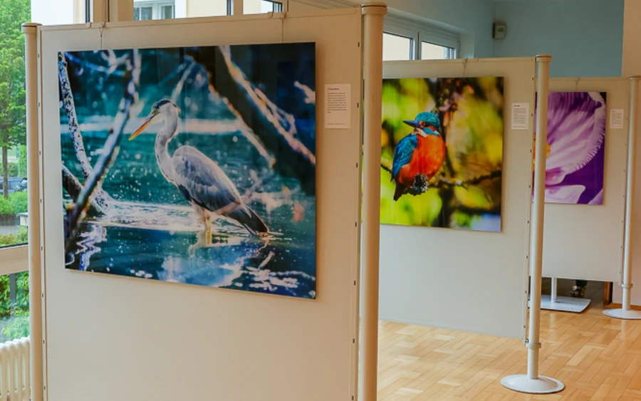 Ausstellung im Kreishaus Olpe_5