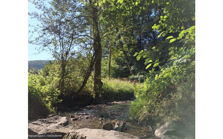 Blick auf die Kelbke