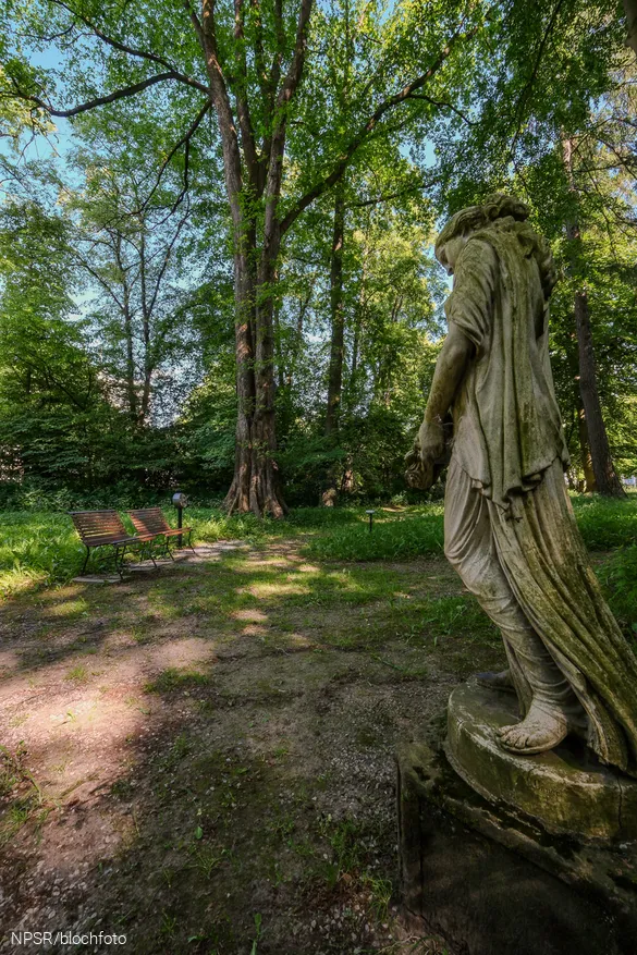 In der Parkanlage des Gutes Rödinghausen steht unser Generationenbaum