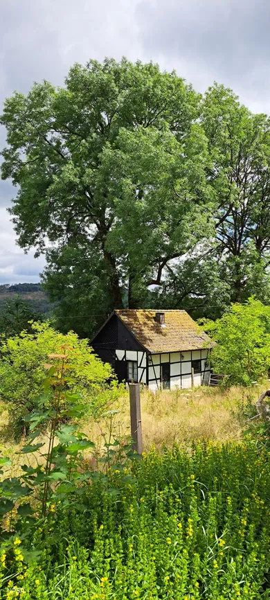 Esche in Hemer