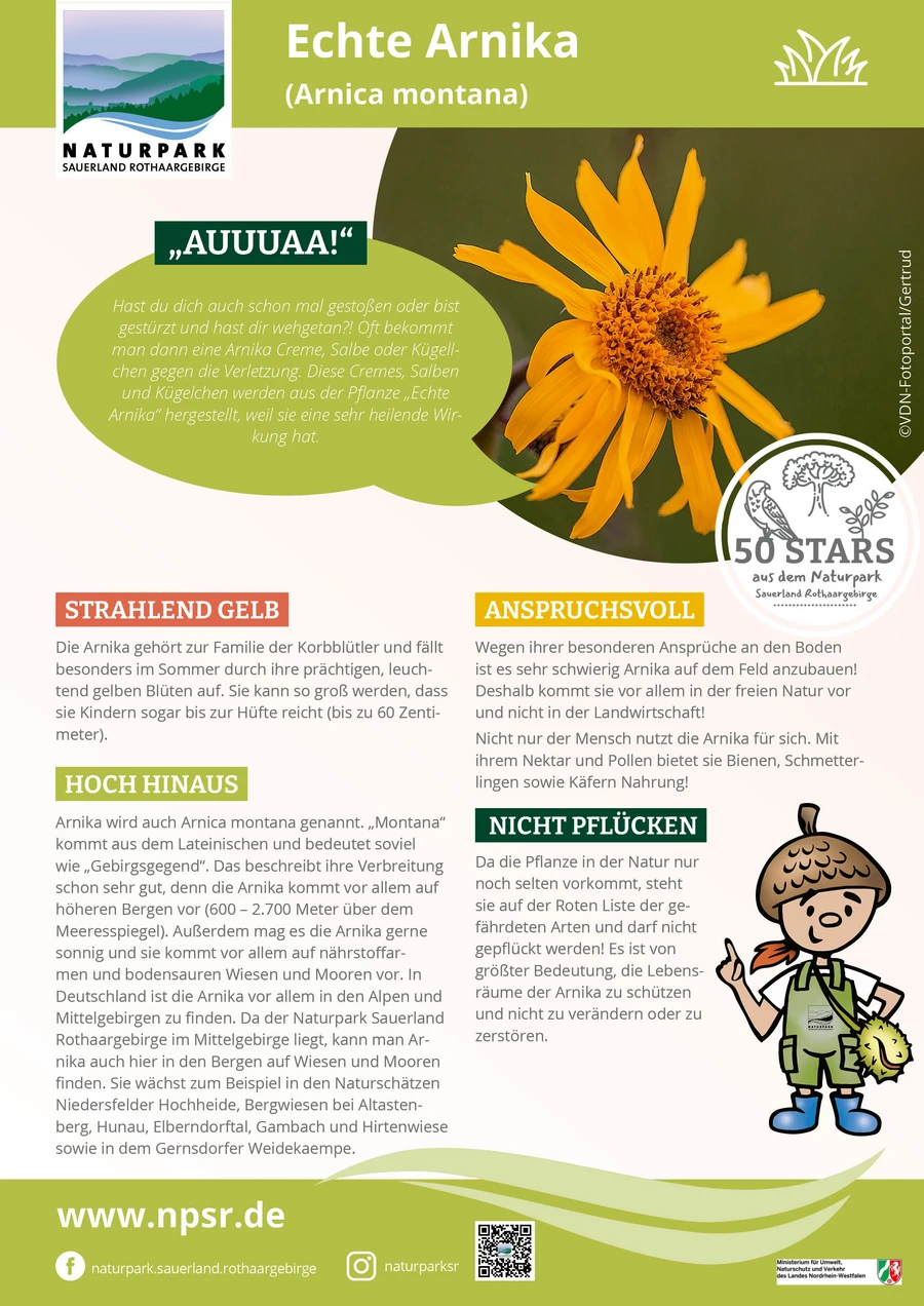 01_Arnika