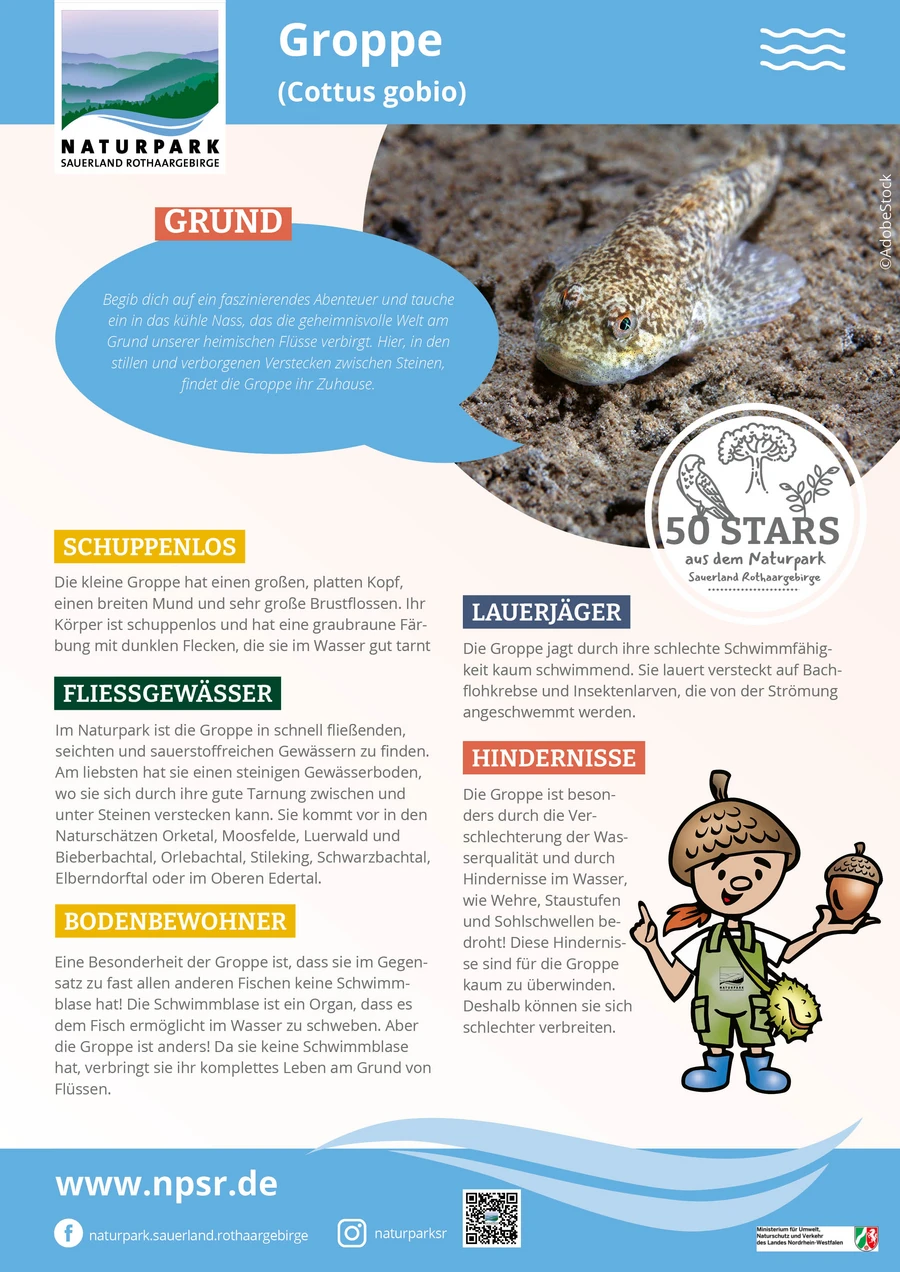 14_Groppe