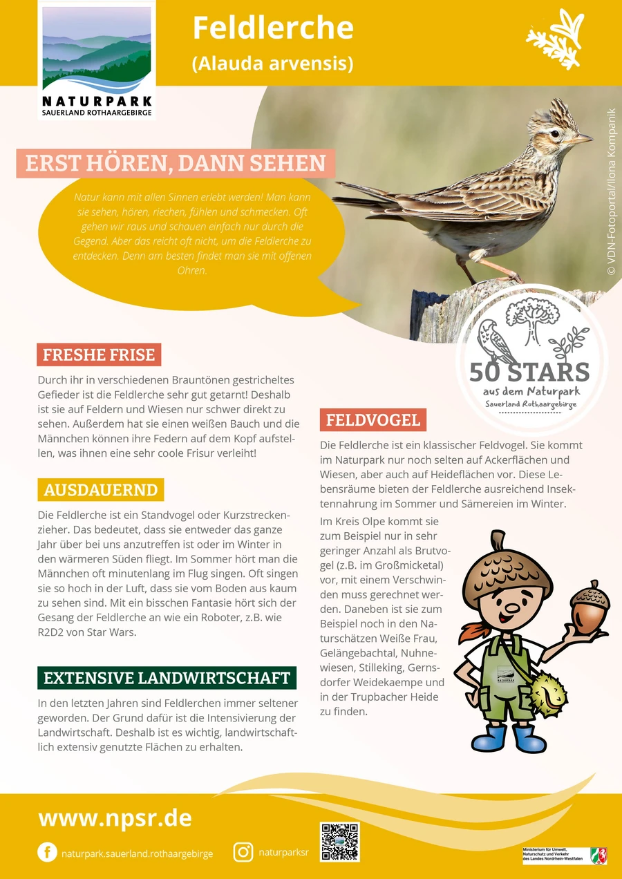 07_Feldlerche
