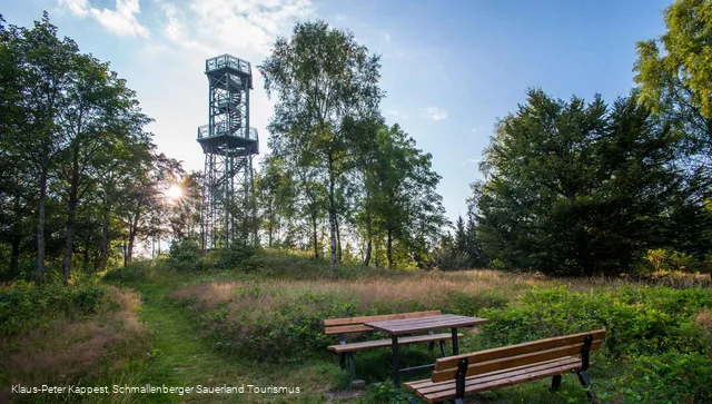 Turm auf dem Wilzenberg