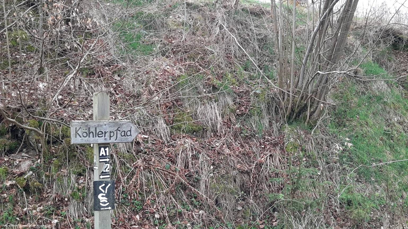 Auf den Spuren der Köhlerei