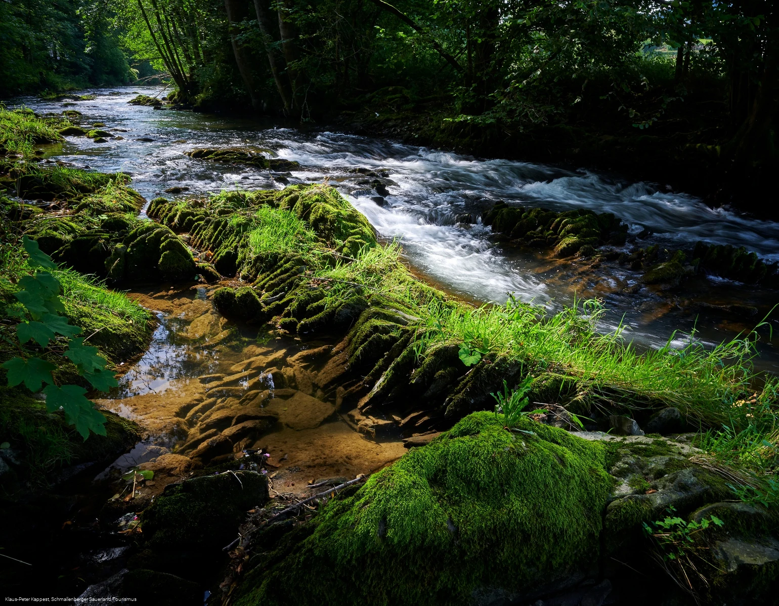 Die Wenne am Wennepfad in Wenholthausen