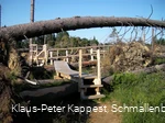 Der Kyrill-Pfad