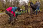 72 Stunden Aktion Hohe Bracht_3