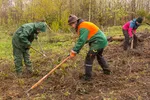 72 Stunden Aktion Hohe Bracht_1