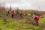 72 Stunden Aktion Hohe Bracht_2