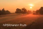 Sonnenaufgang Trupbacher Heide