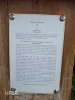 Winterlinde in Winterberg-Züschen
