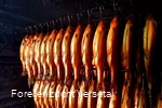 Räucherfische
